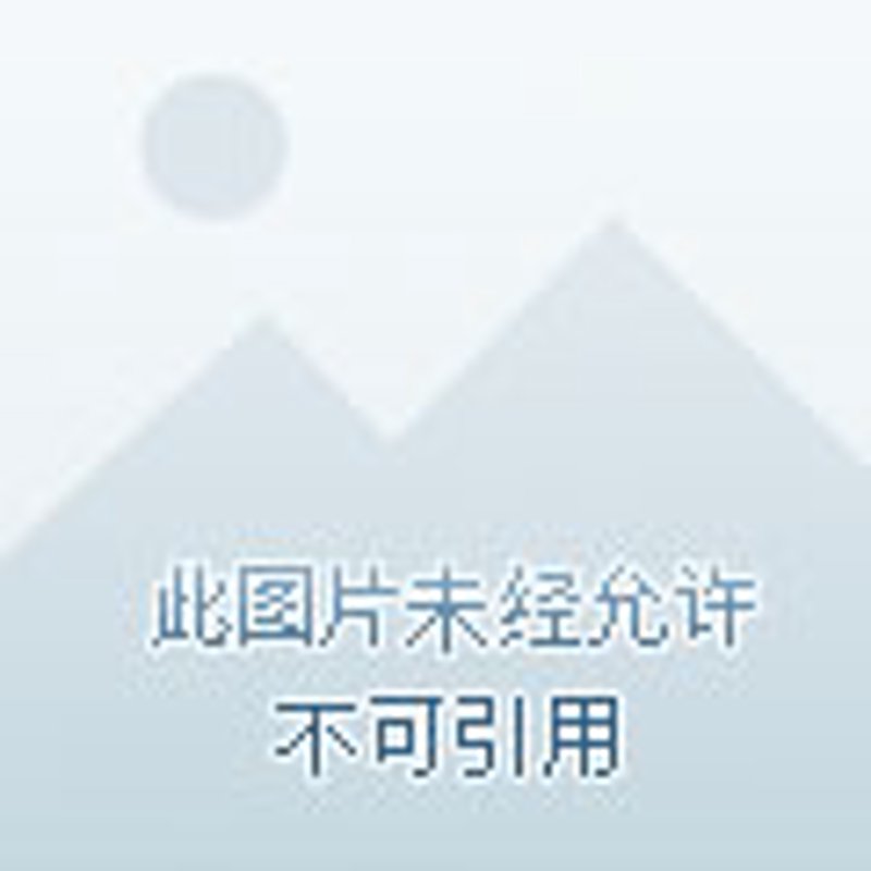 城市规划设计:透视未来发展方向